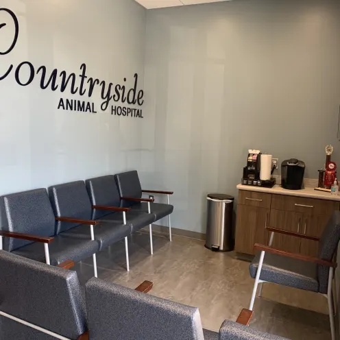Countryside Animal Hospital of Hot Springs 0162 - Waiting Room